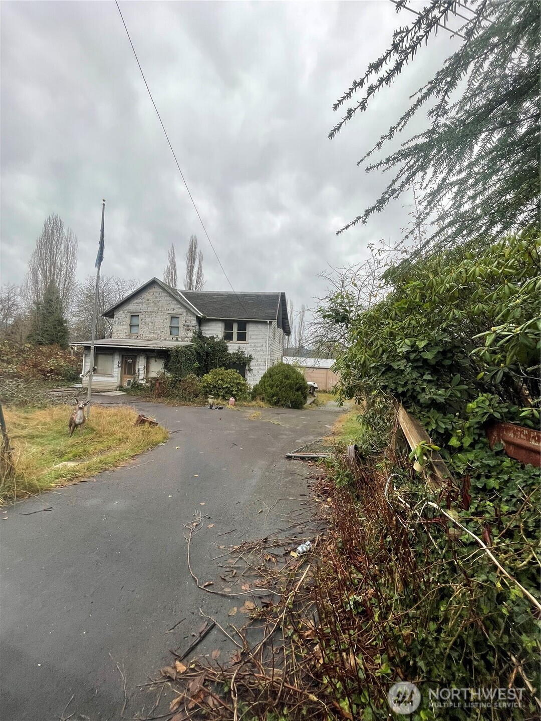 1632 Henkle Street Raymond, WA 98577 - Photo 8 of 12 a view of a swimming pool with a yard and plants