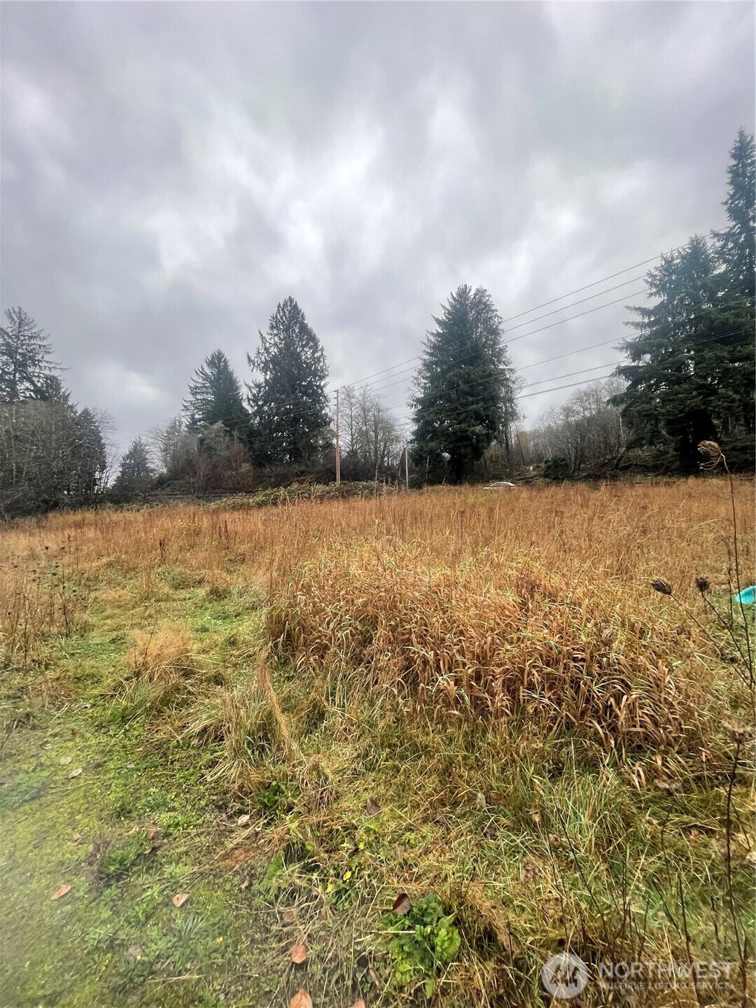 1632 Henkle Street Raymond, WA 98577 - Photo 9 of 12 a view of yard with ocean and trees in the background