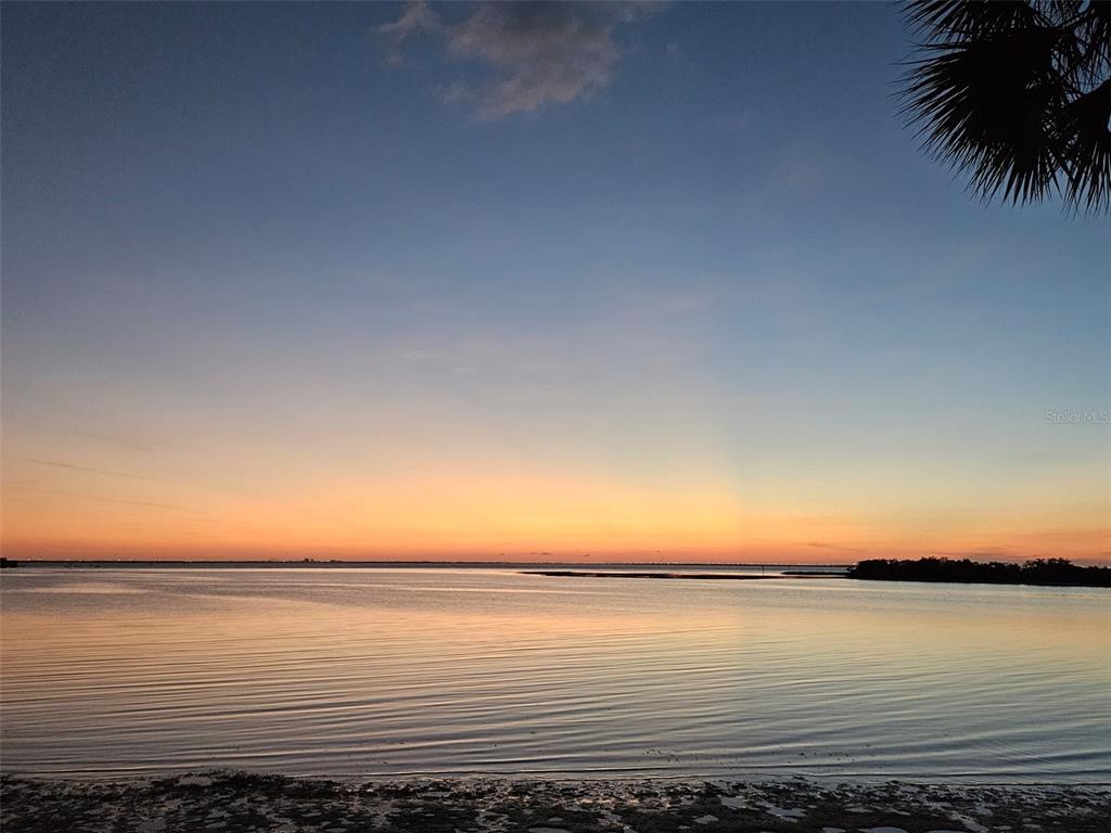 4851 West Gandy Boulevard, Unit B3L15 Tampa, FL 33611 - Photo 33 of 34