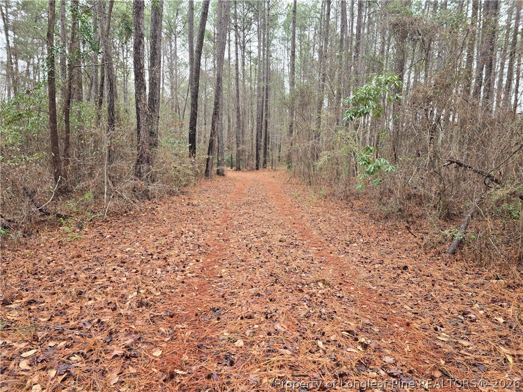 488 Green Street Parkton, NC 28371 - Photo 2 of 24