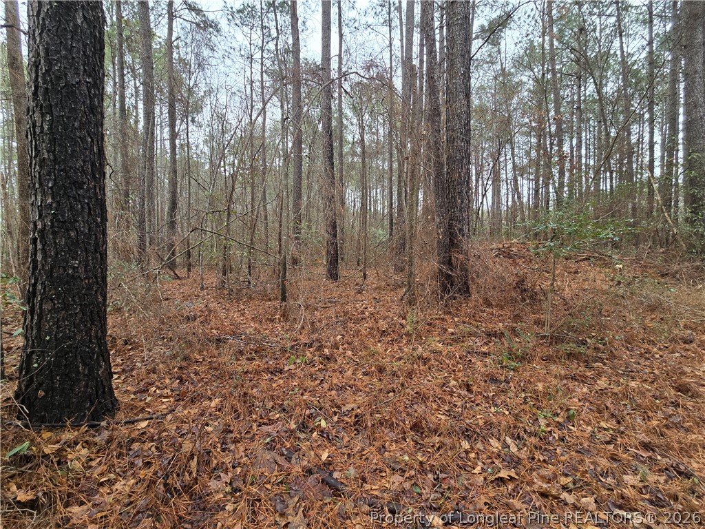 488 Green Street Parkton, NC 28371 - Photo 8 of 24