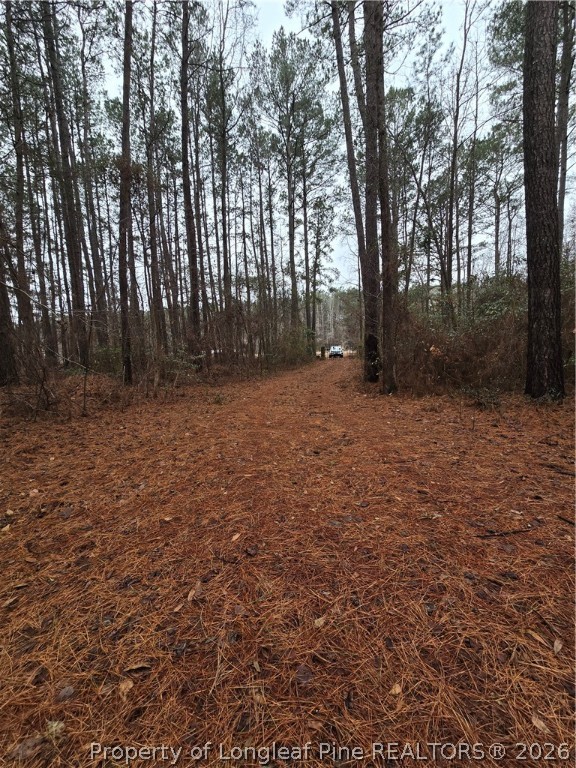 488 Green Street Parkton, NC 28371 - Photo 9 of 24