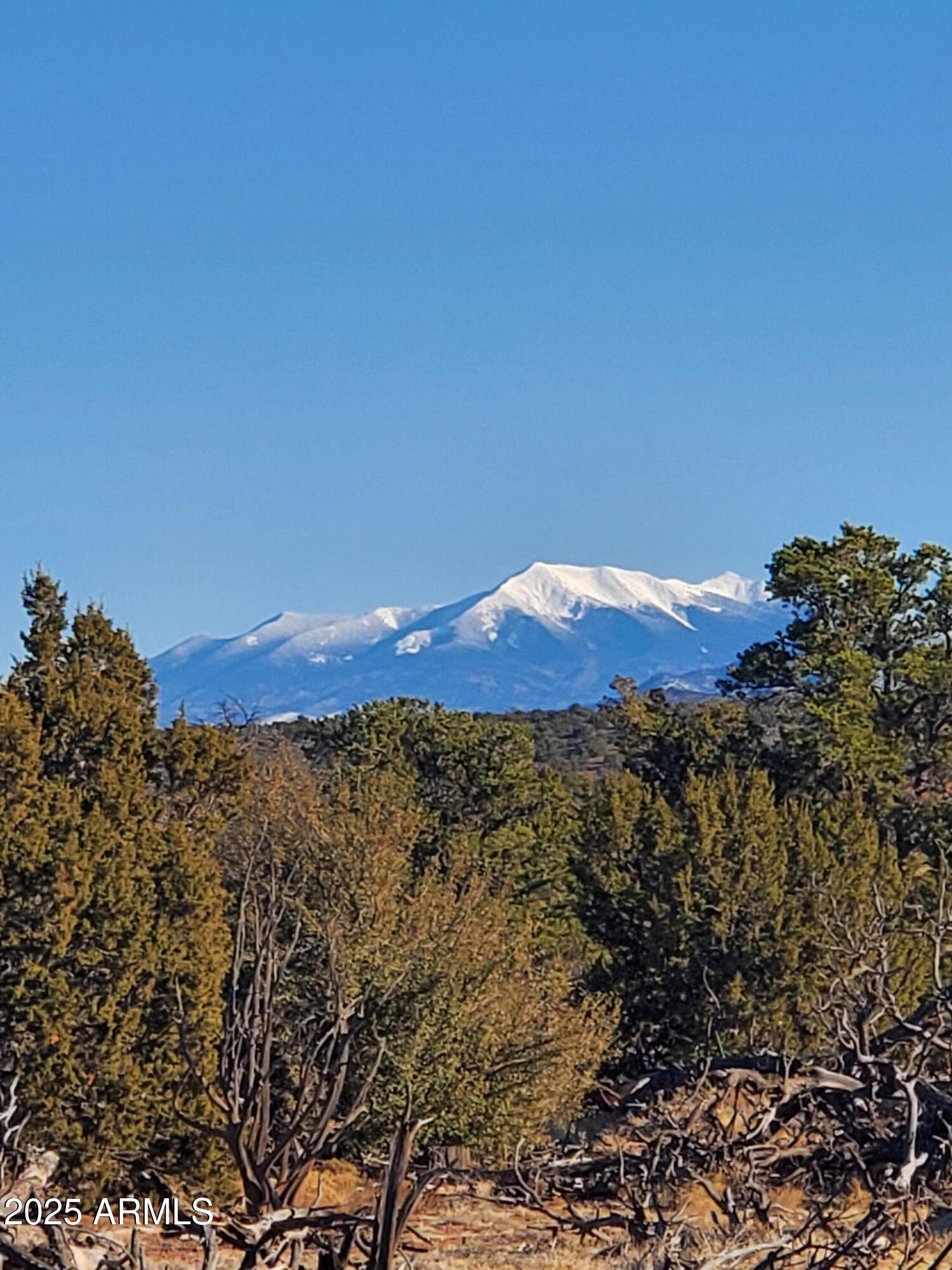 2589 North Lipan Road, Unit 203 Williams, AZ 86046 - Photo 4 of 8 20210218_161830