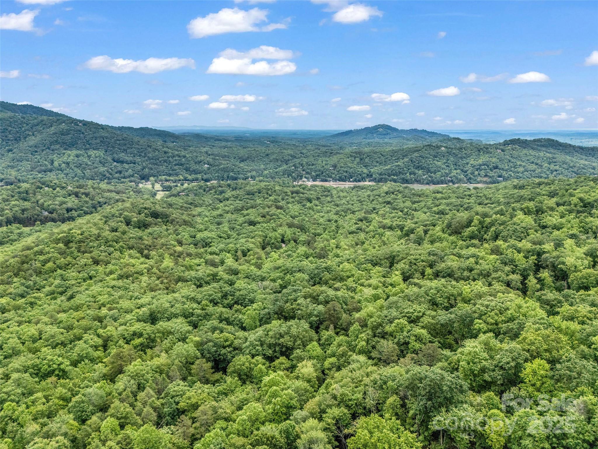 0 Quail Ridge Road, Unit 214 Tryon, NC 28782 - Photo 14 of 38