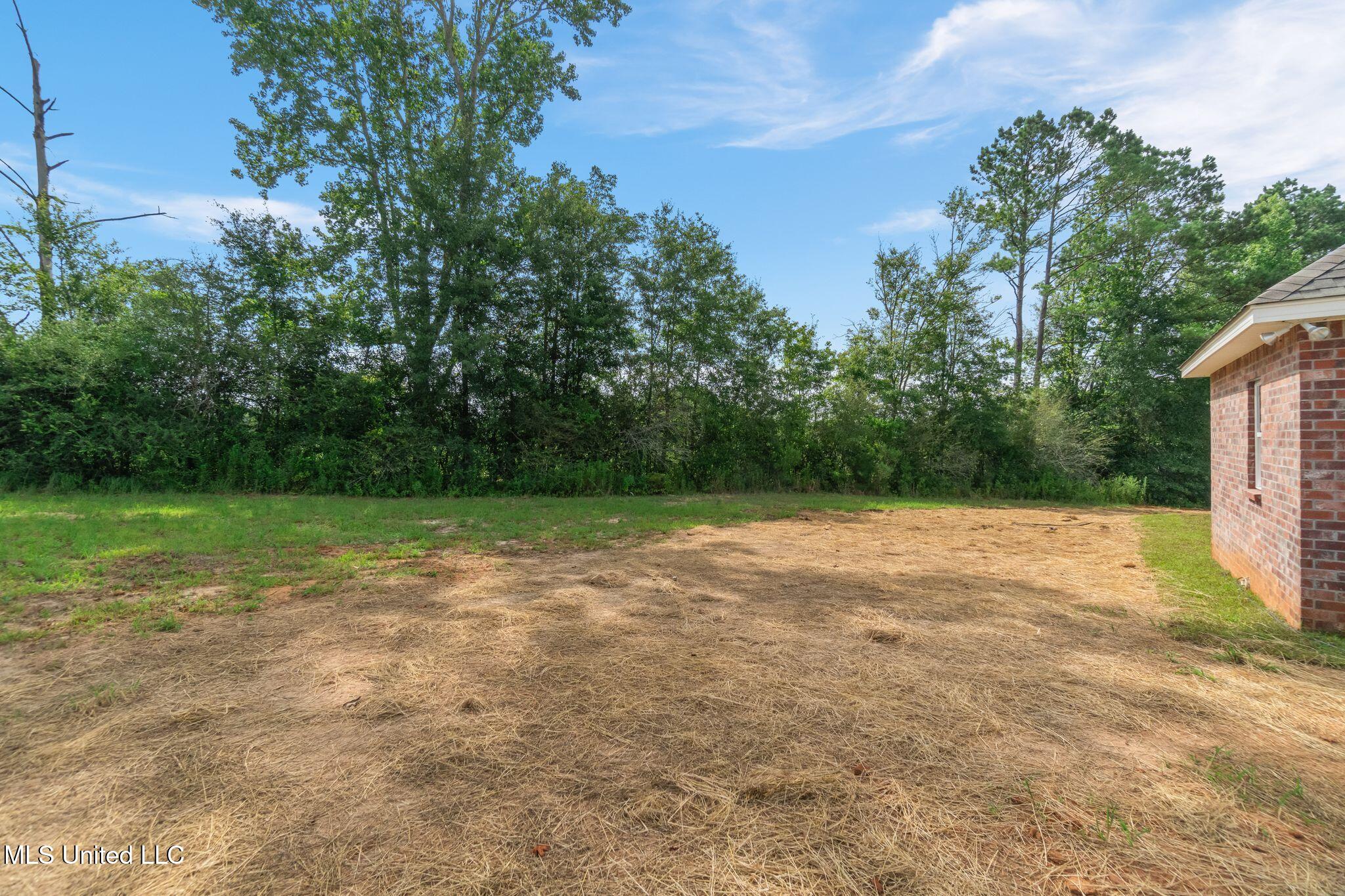 250 Higgins Road Sumrall, MS 39482 - Photo 43 of 47 250_Higgins_Rd-43