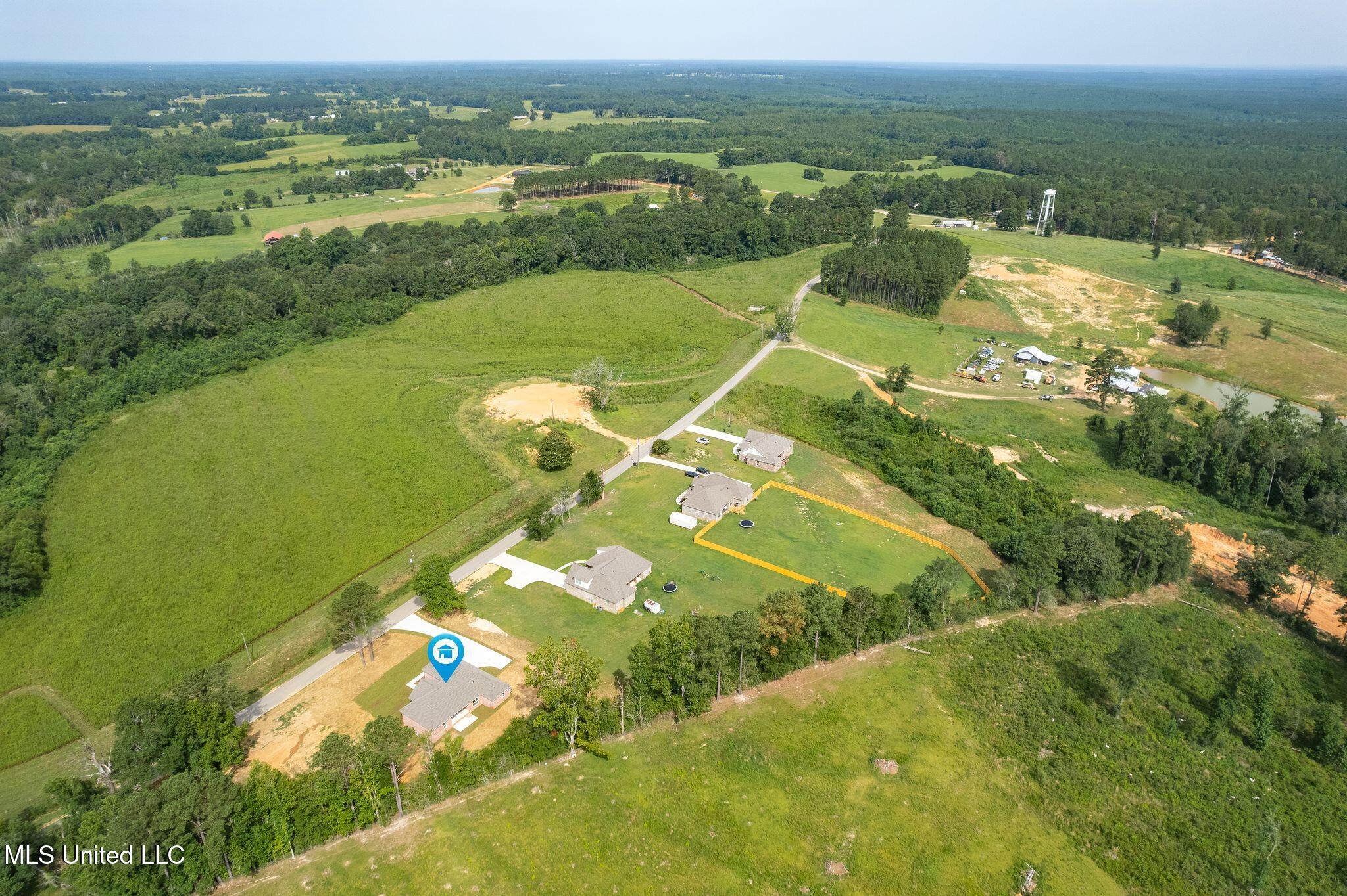 250 Higgins Road Sumrall, MS 39482 - Photo 45 of 47 250_Higgins_Rd-Drone-2