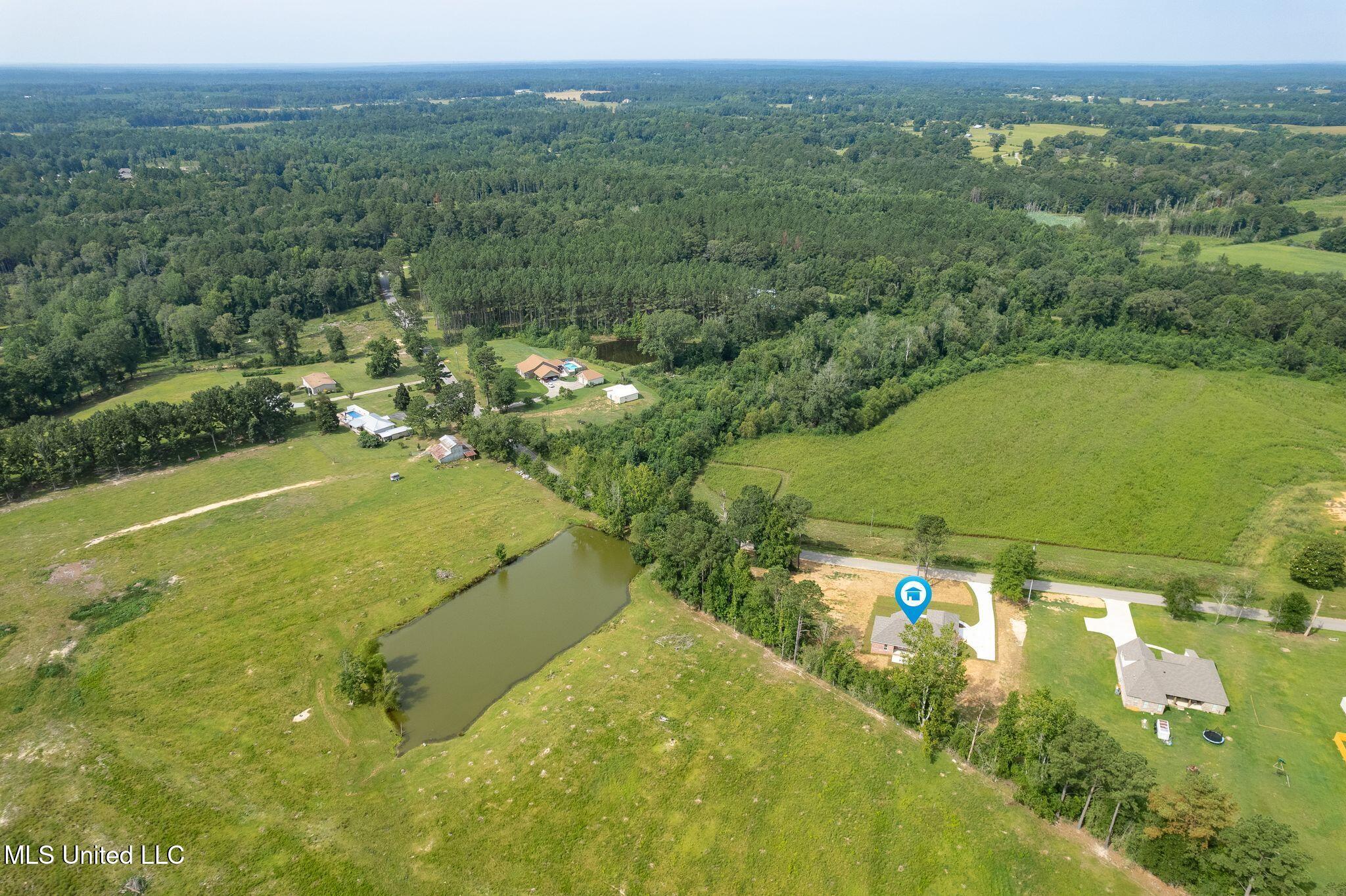 250 Higgins Road Sumrall, MS 39482 - Photo 46 of 47 250_Higgins_Rd-Drone-3