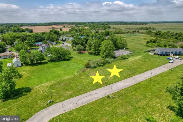 a view of a yard with plants and trees