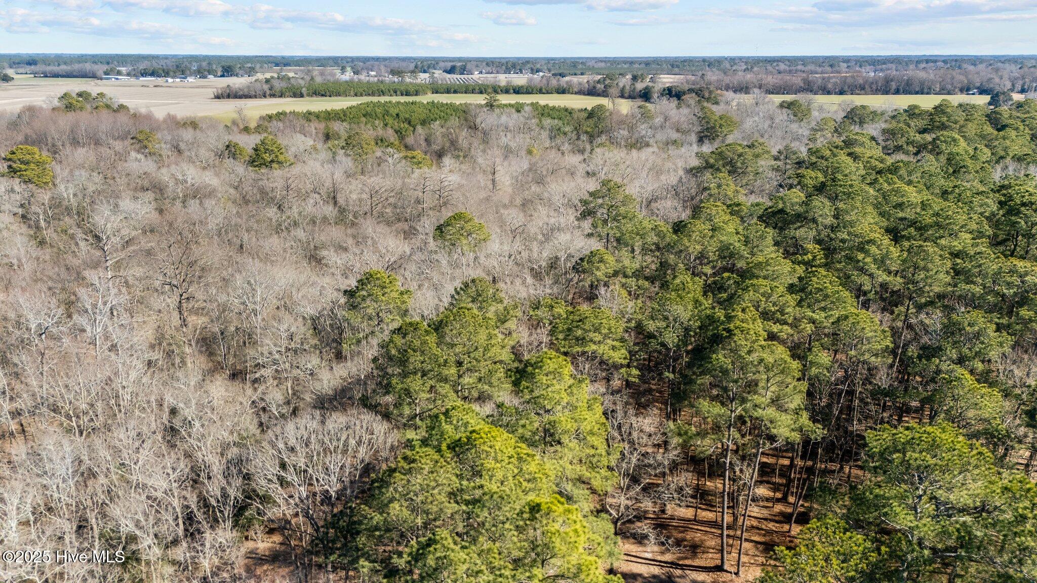 155 Fairmax Road Goldsboro, NC 27534 - Photo 11 of 24 9-web-or-mls-DJI_20250130130022_0251_D