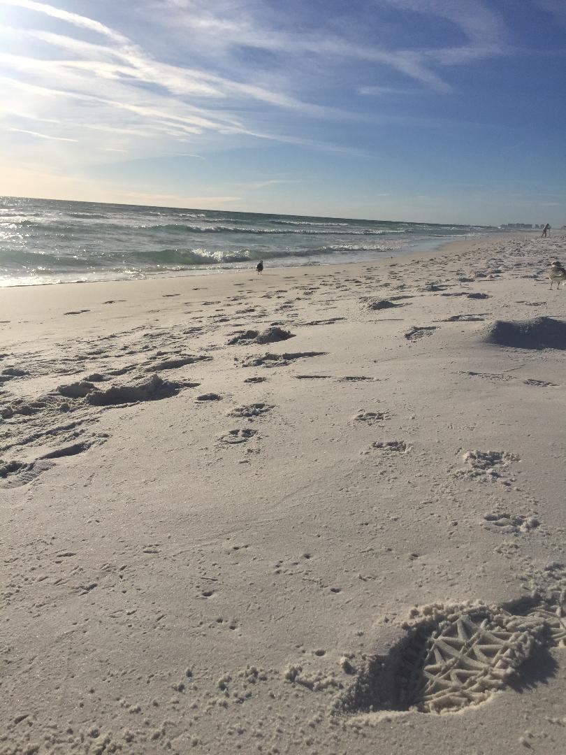 132 Bayou Manor Road Santa Rosa Beach, FL 32459 - Photo 28 of 28 beachfootprint