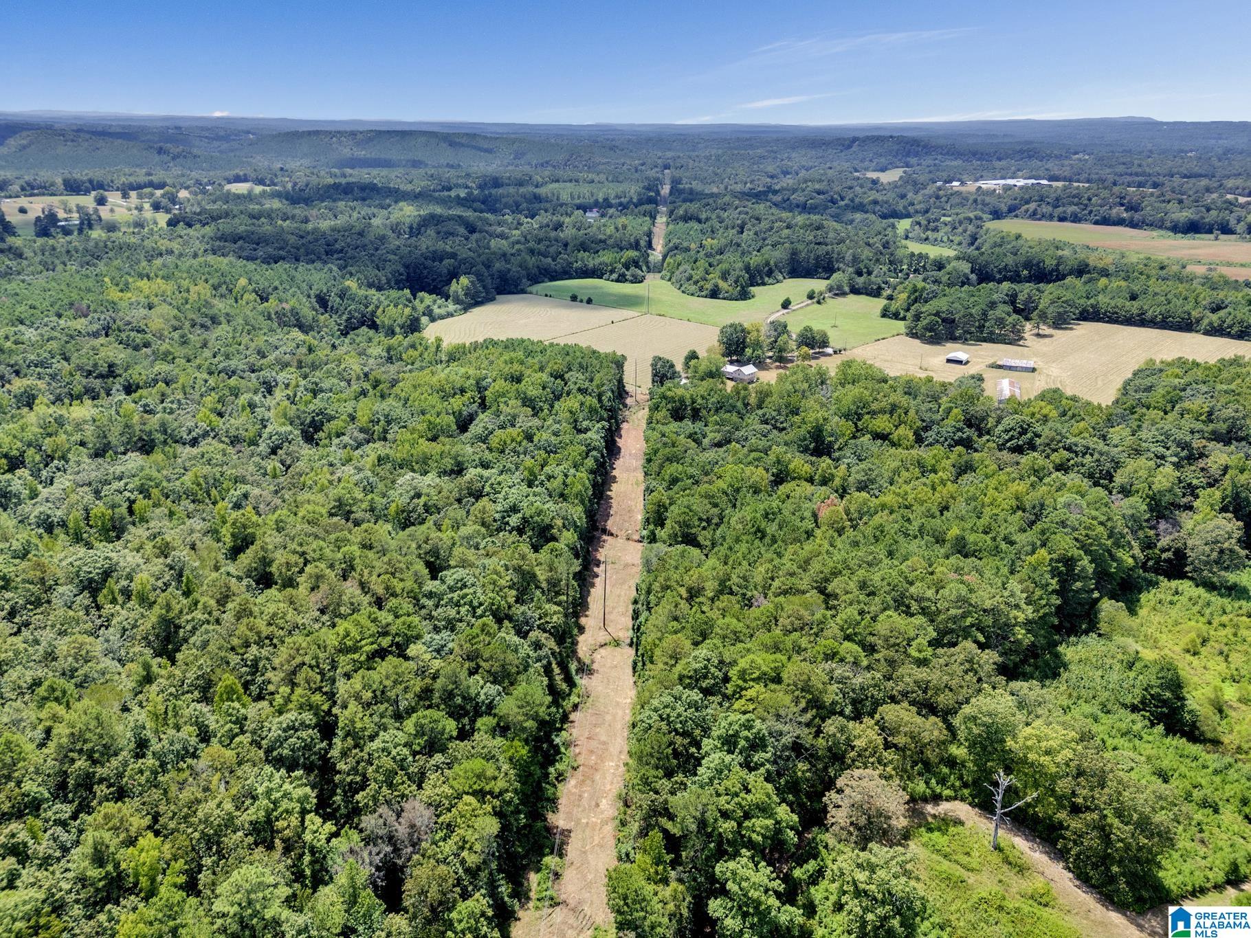 275 Dock Marsh Road Cleveland, AL 35049 - Photo 7 of 34