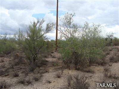0 North Blue Bonnet Road Tucson, AZ 85742 - Photo 9 of 12