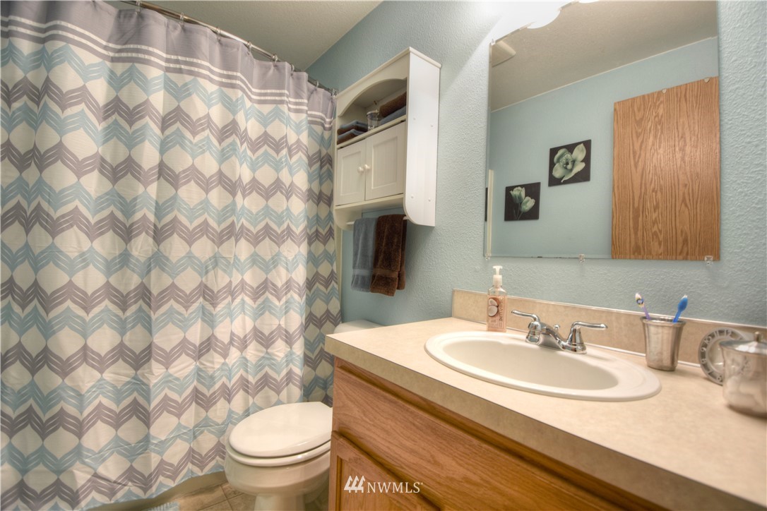 5423 187th Court Southwest Rochester, WA 98579 - Photo 15 of 24 a bathroom with a sink toilet and a mirror