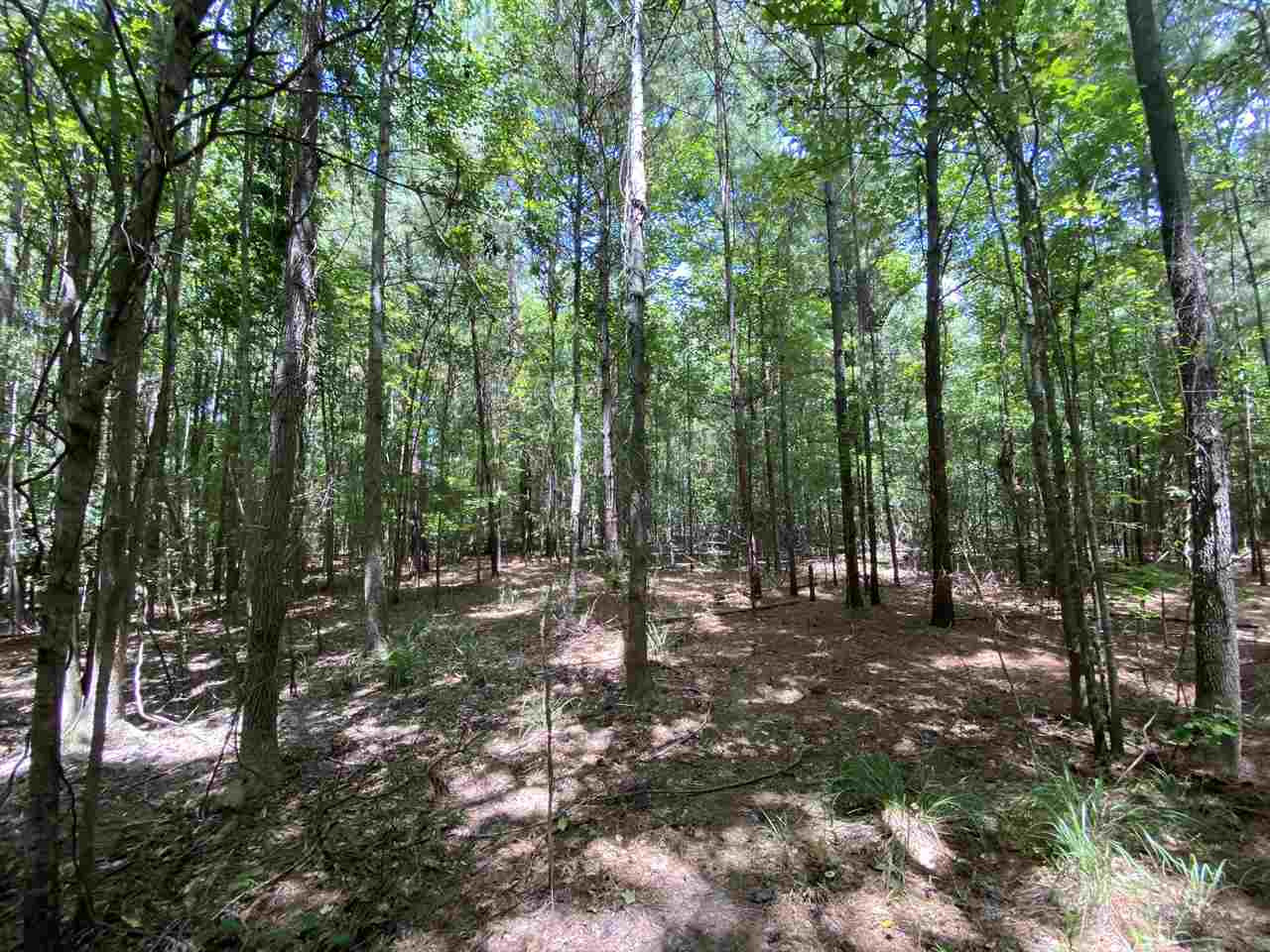 S South Siwell Road Byram, MS 39272 - Photo 8 of 12 Photo 9