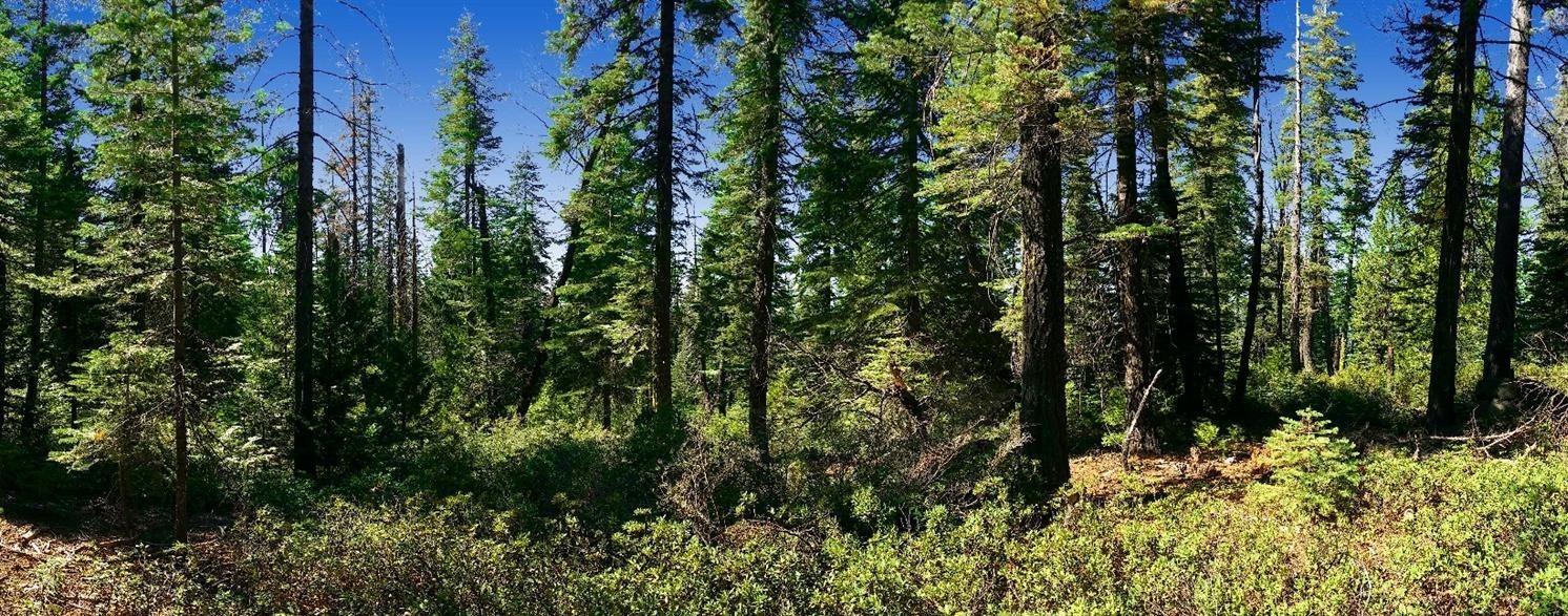 30410 North Bloomfield-Graniteville Rd  