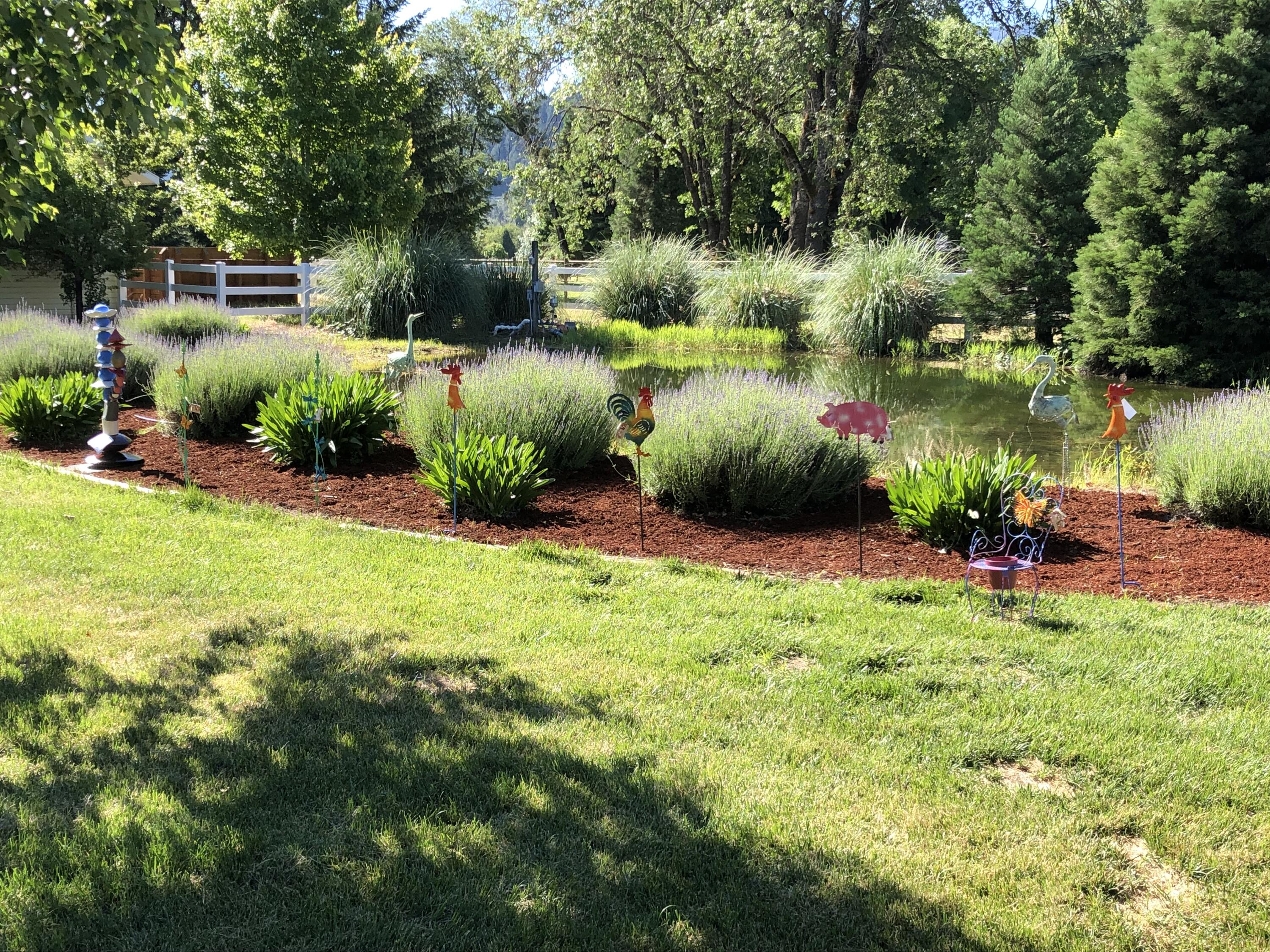 6666 New Hope Road Grants Pass, OR 97527 - Photo 45 of 60 Pond