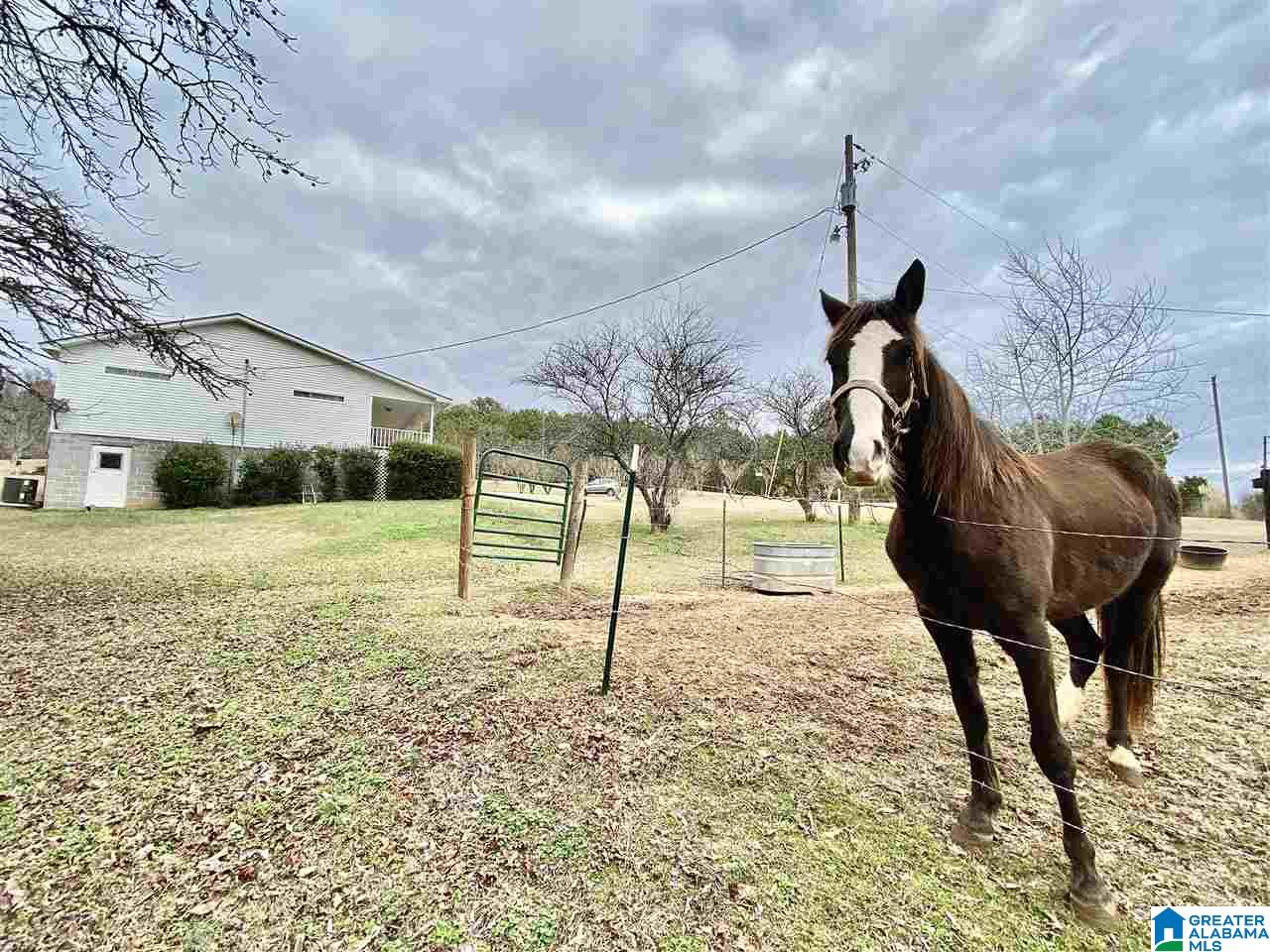 281 Way Back Lane Hayden, AL 35079 - Photo 28 of 33