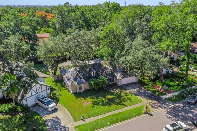 a view of a lush green forest with lawn chairs