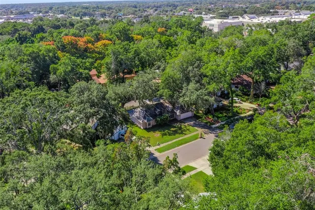 a view of a park with large trees