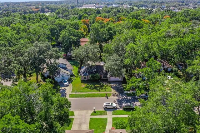 a view of a yard with plants and large trees