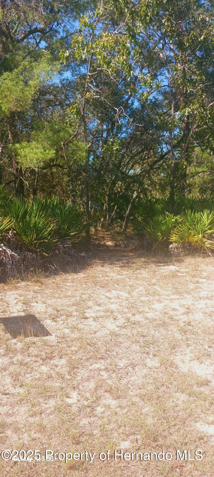 18187 Maberly Road Weeki Wachee, FL 34614 - Photo 3 of 6
