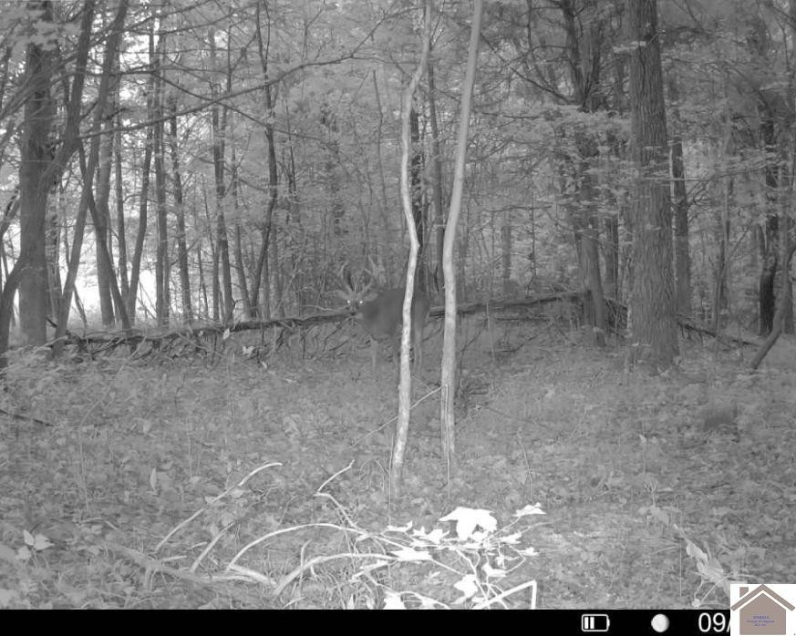 0 Pleasant Hill Road Princeton, KY 42445 - Photo 1 of 23 Photo 1