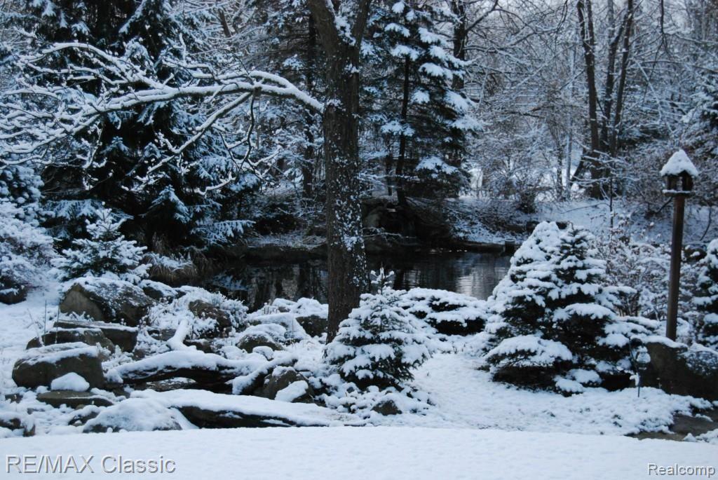 3994 Napier Road Canton, MI 48187 - Photo 11 of 32 Year Round Fish Pond
