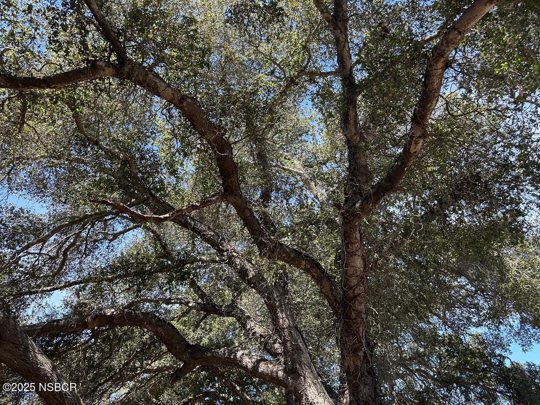 5400 1/2 Stillwell Road Santa Maria, CA 93455 - Photo 7 of 10 8