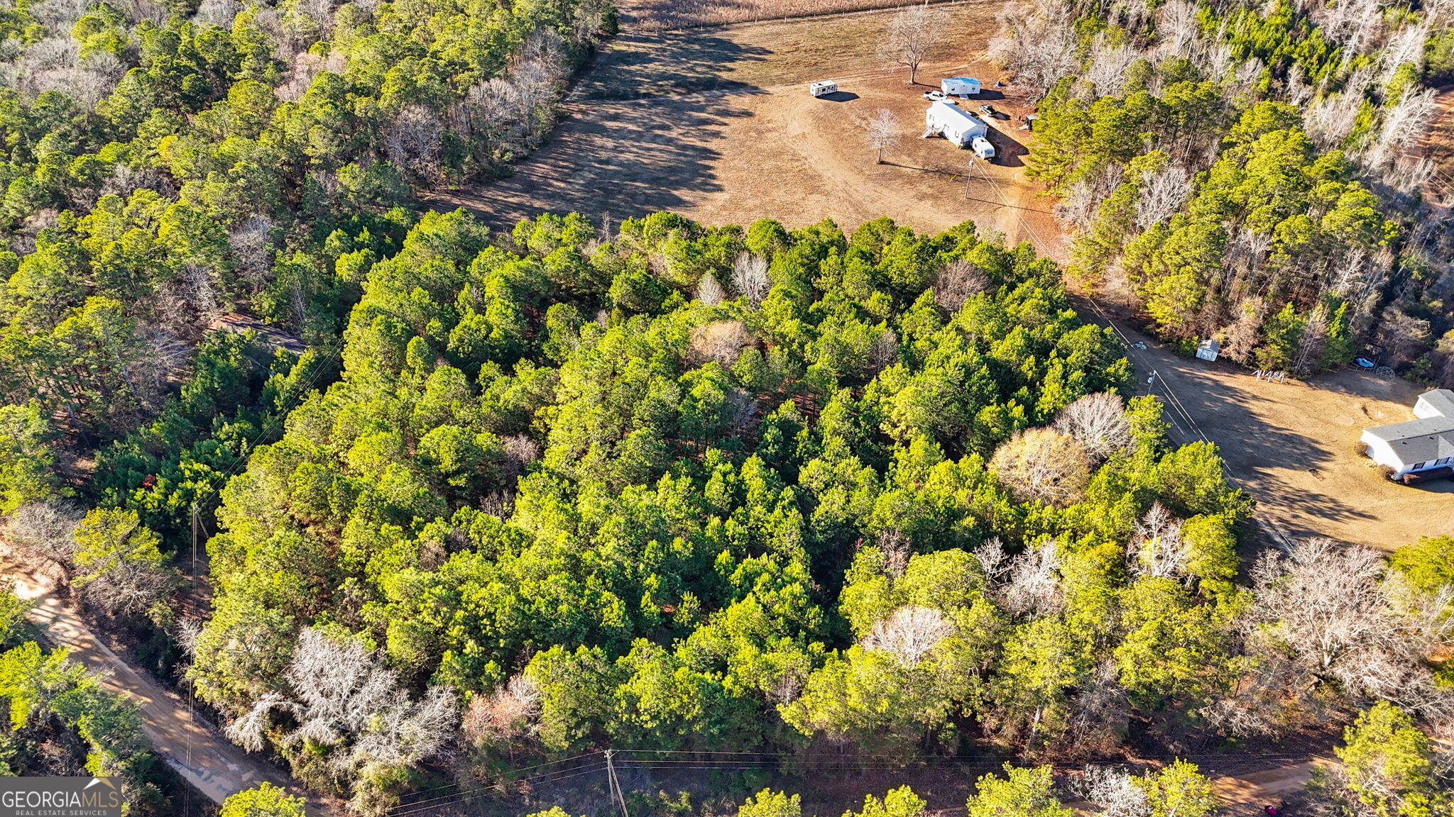 0 Giles Road Fort Valley, GA 31030 - Photo 5 of 8 a picture of tree