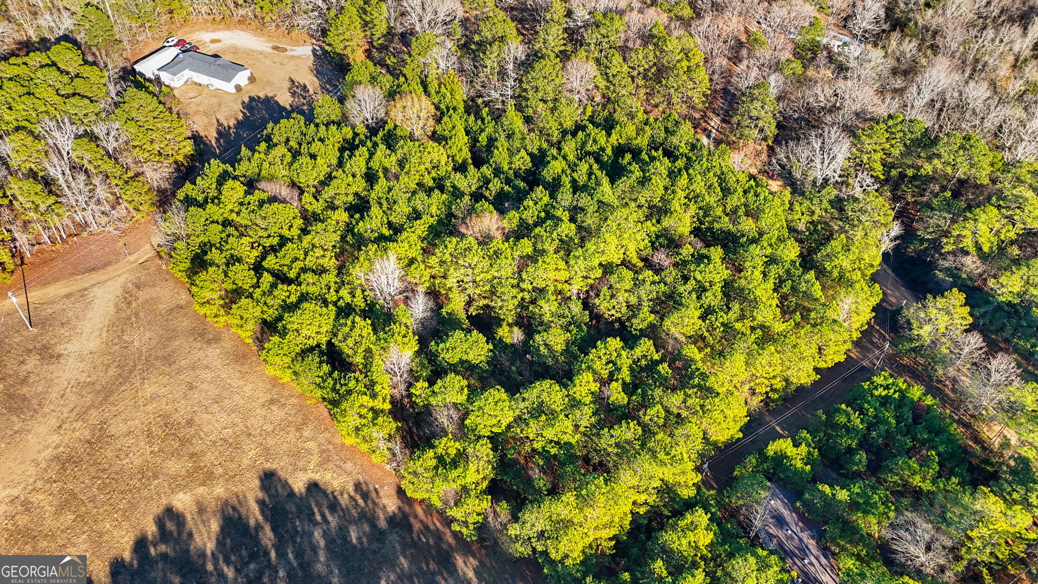 0 Giles Road Fort Valley, GA 31030 - Photo 6 of 8 a view of a tree