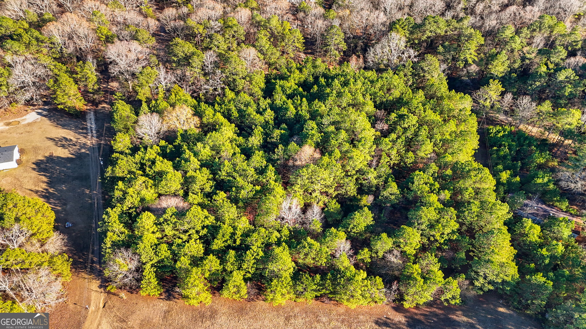 0 Giles Road Fort Valley, GA 31030 - Photo 7 of 8 a view of a tree