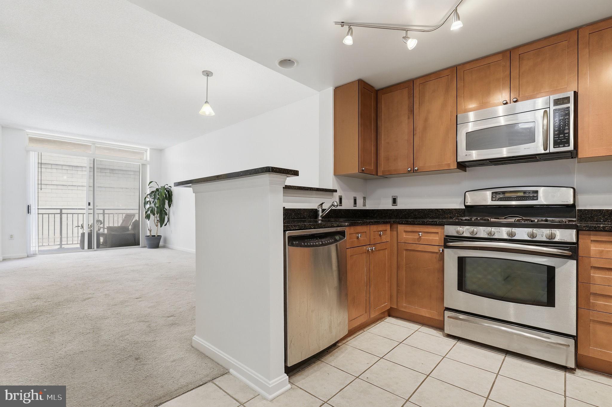 930 Wayne Avenue, Unit 201 Silver Spring, MD 20910 - Photo 3 of 28