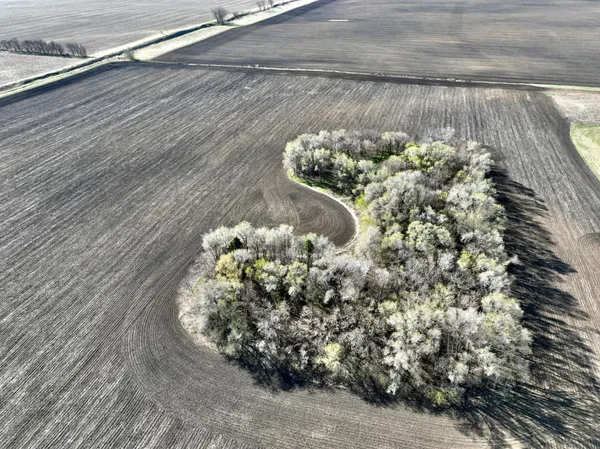 $1 | Tbd 170th Street, Tracy, MN 56175