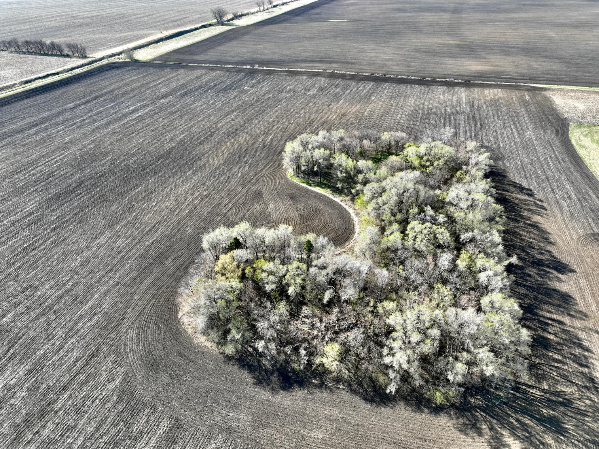 Tbd 170th Street Tracy, MN 56175 - Photo 4 of 16