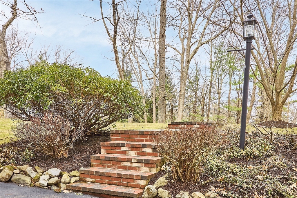 24 Greybirch Road Andover, MA 01810 - Photo 35 of 42 a view of a yard with plants and trees