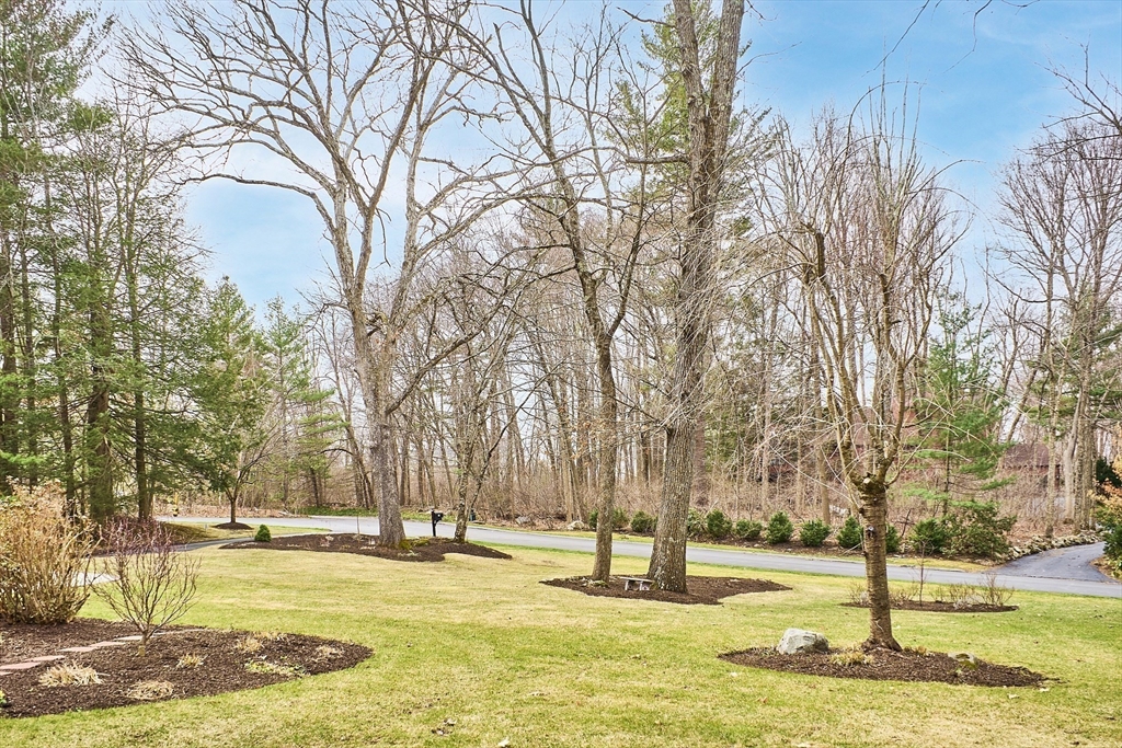 24 Greybirch Road Andover, MA 01810 - Photo 37 of 42 a view of a yard with a tree