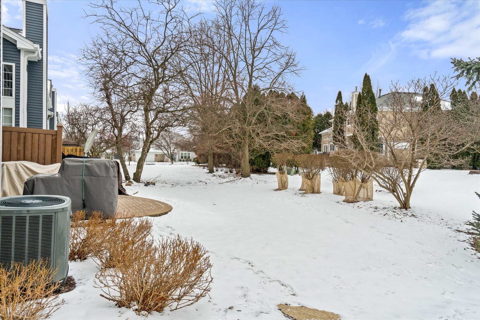 3819 Capri Court Naperville, IL 60564 - Photo 30 of 37 a view of a snow with a yard