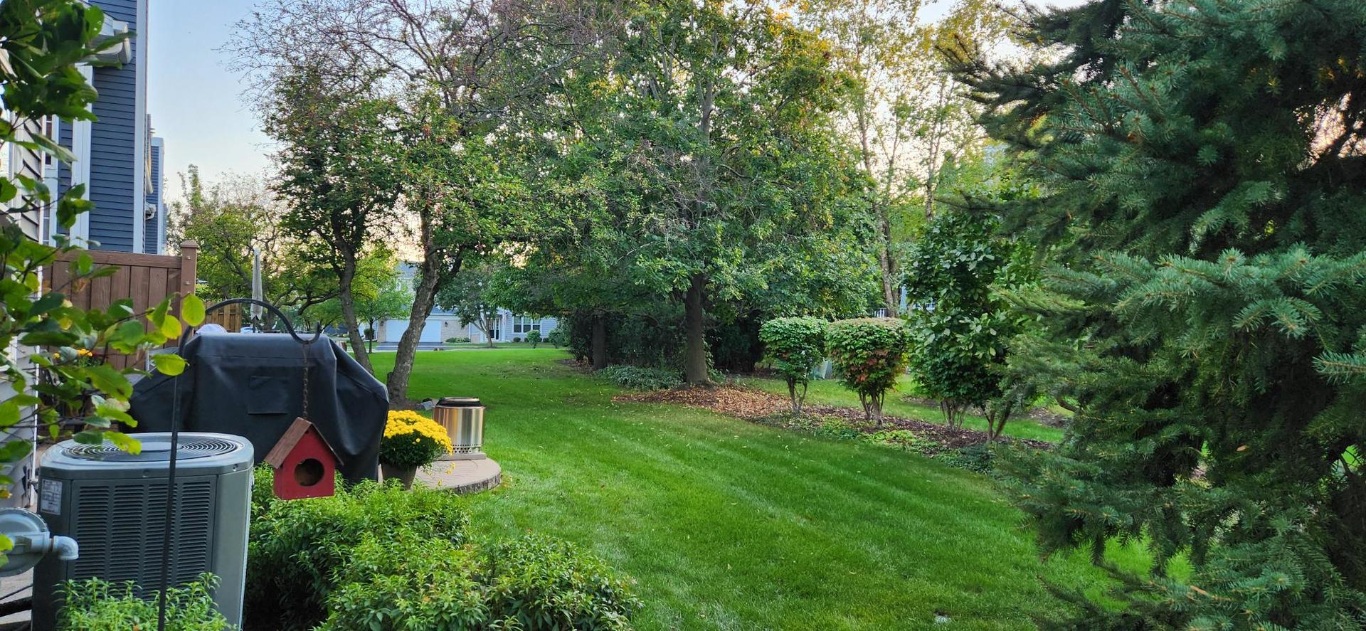 3819 Capri Court Naperville, IL 60564 - Photo 32 of 37 a view of a backyard with couches plants and large trees