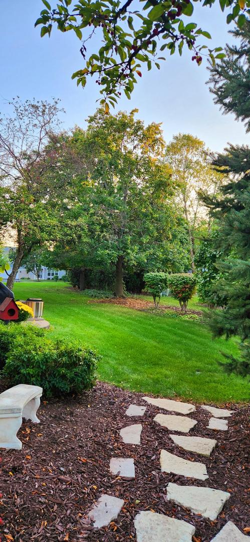 3819 Capri Court Naperville, IL 60564 - Photo 33 of 37 a view of a yard with plants and a large tree