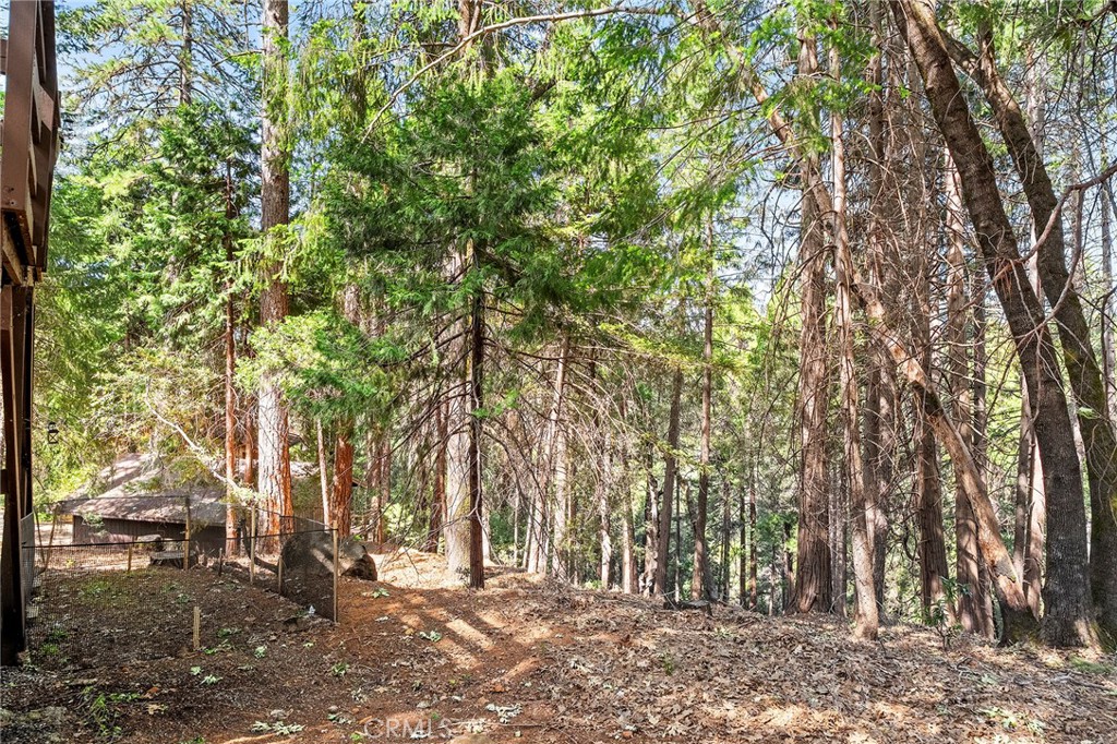 14243 Wycliff Way Magalia, CA 95954 - Photo 59 of 65 a backyard of a house with lots of green space