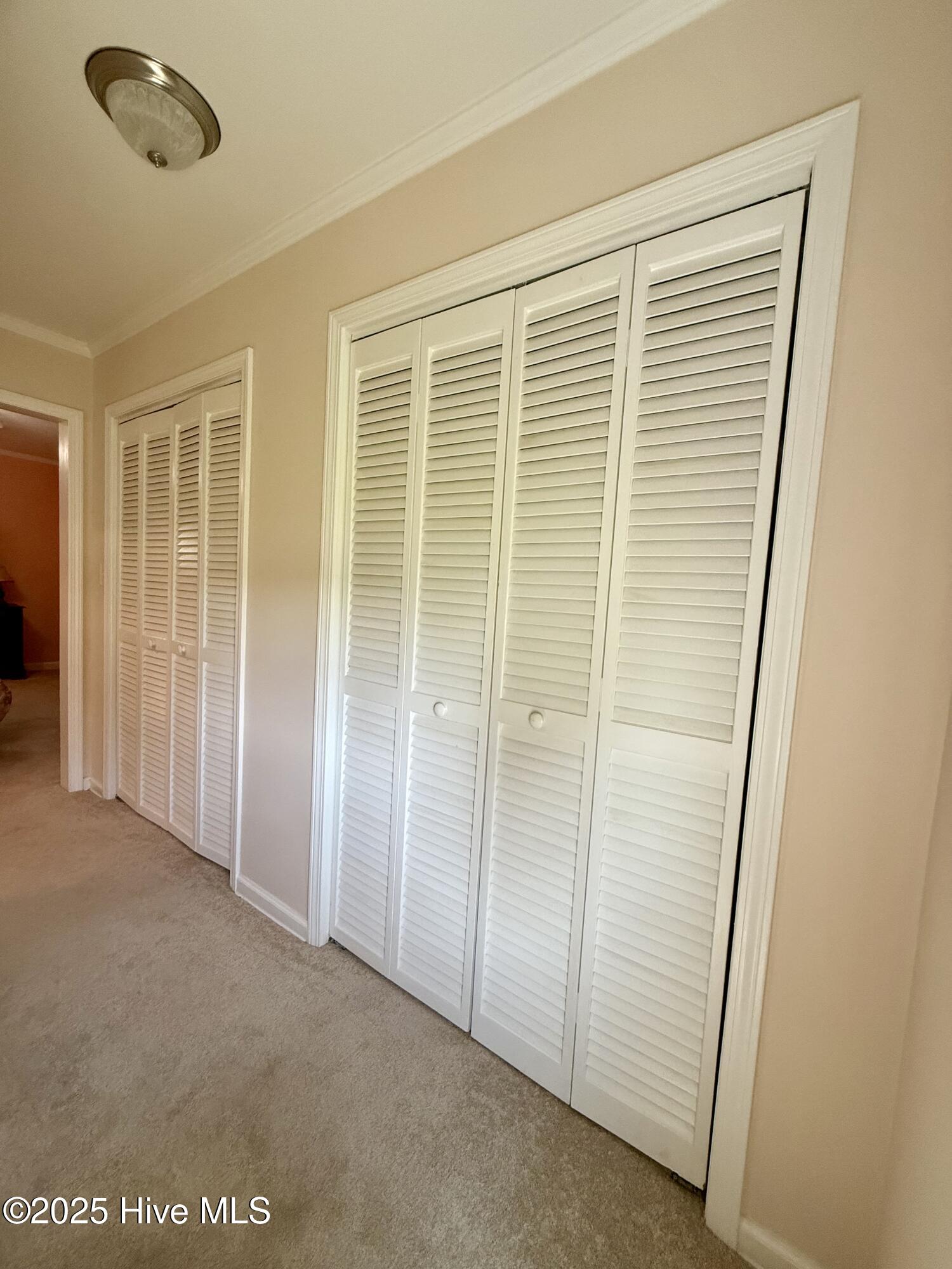 3773 Bear Grass Road Williamston, NC 27892 - Photo 37 of 55 Primary Bedroom Closets