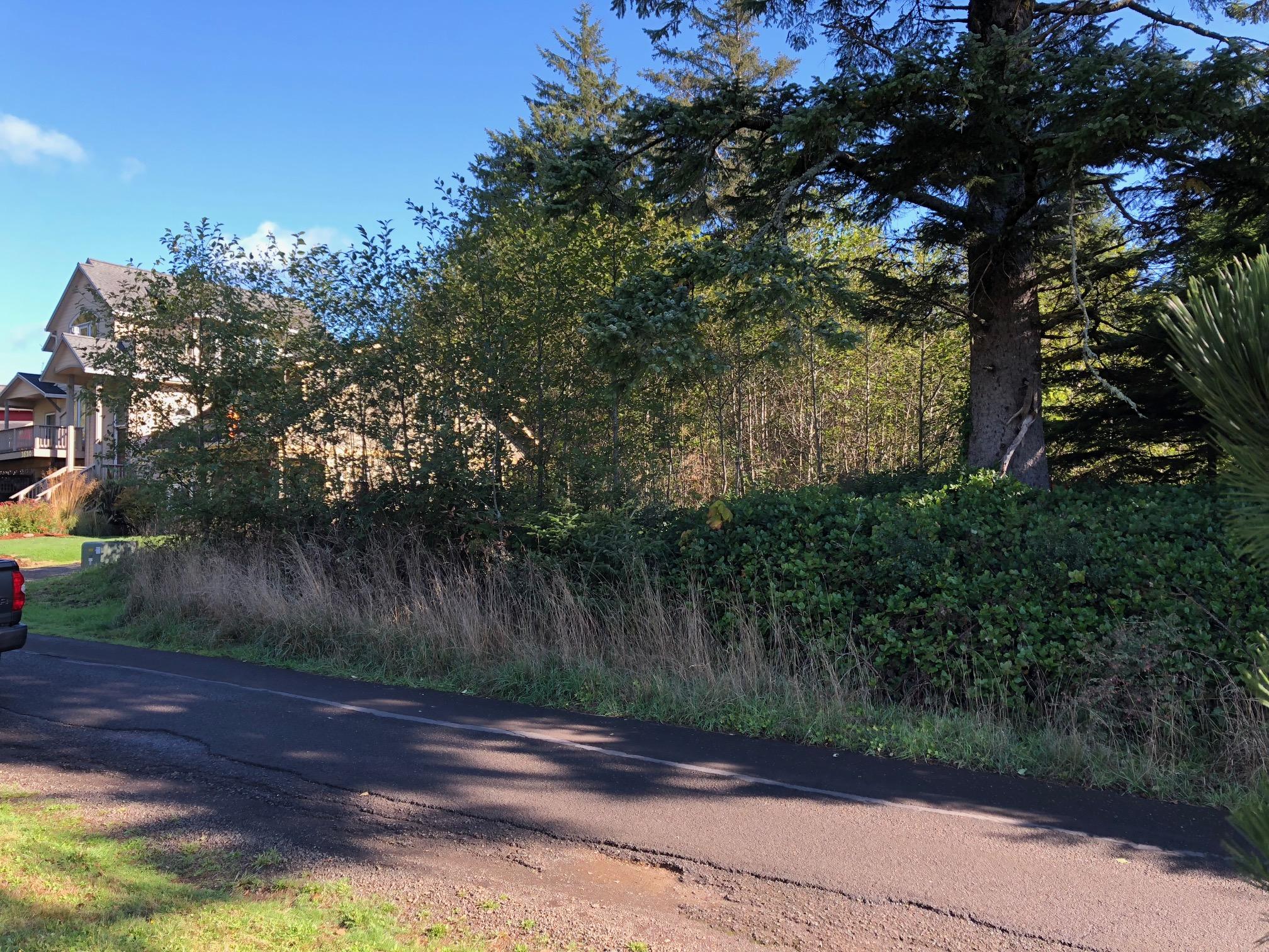 Lot 906 Old Netarts Road Tillamook, OR 97141 - Photo 1 of 5 Lot