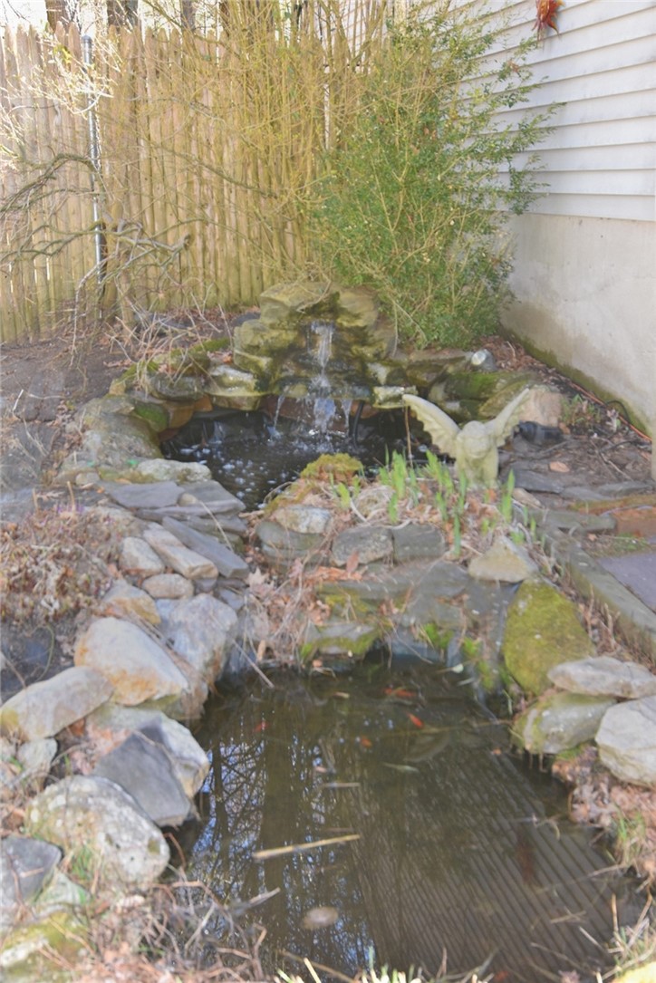 680 Hazard Road West Greenwich, RI 02817 - Photo 6 of 33 Koi pond