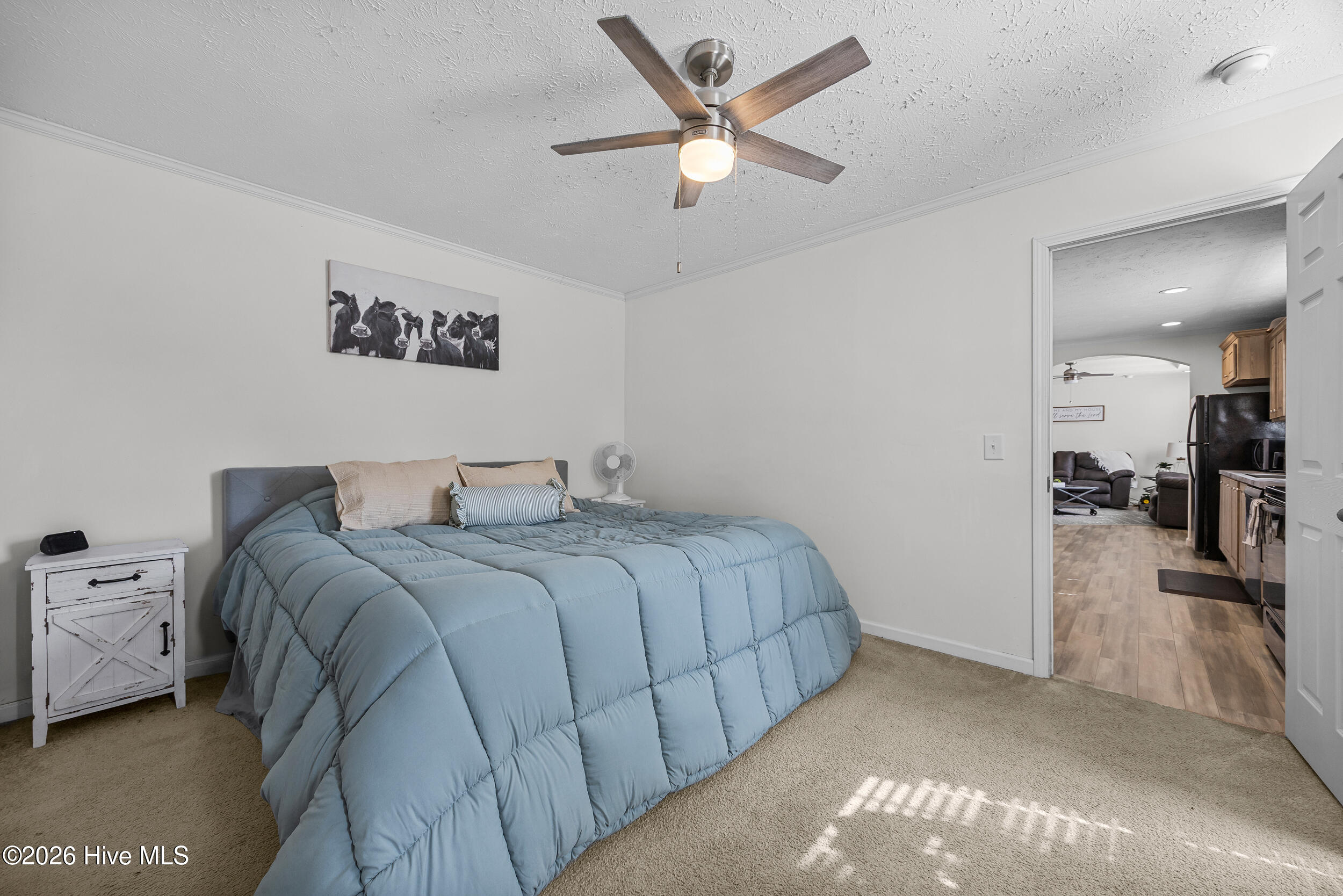 177 Turkey Branch Road Beulaville, NC 28518 - Photo 15 of 32