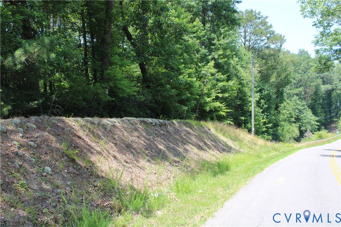 Tbd Wilcox Neck Road Charles City, VA 23030 - Photo 7 of 7 Wilcox Neck Road frontage looking north