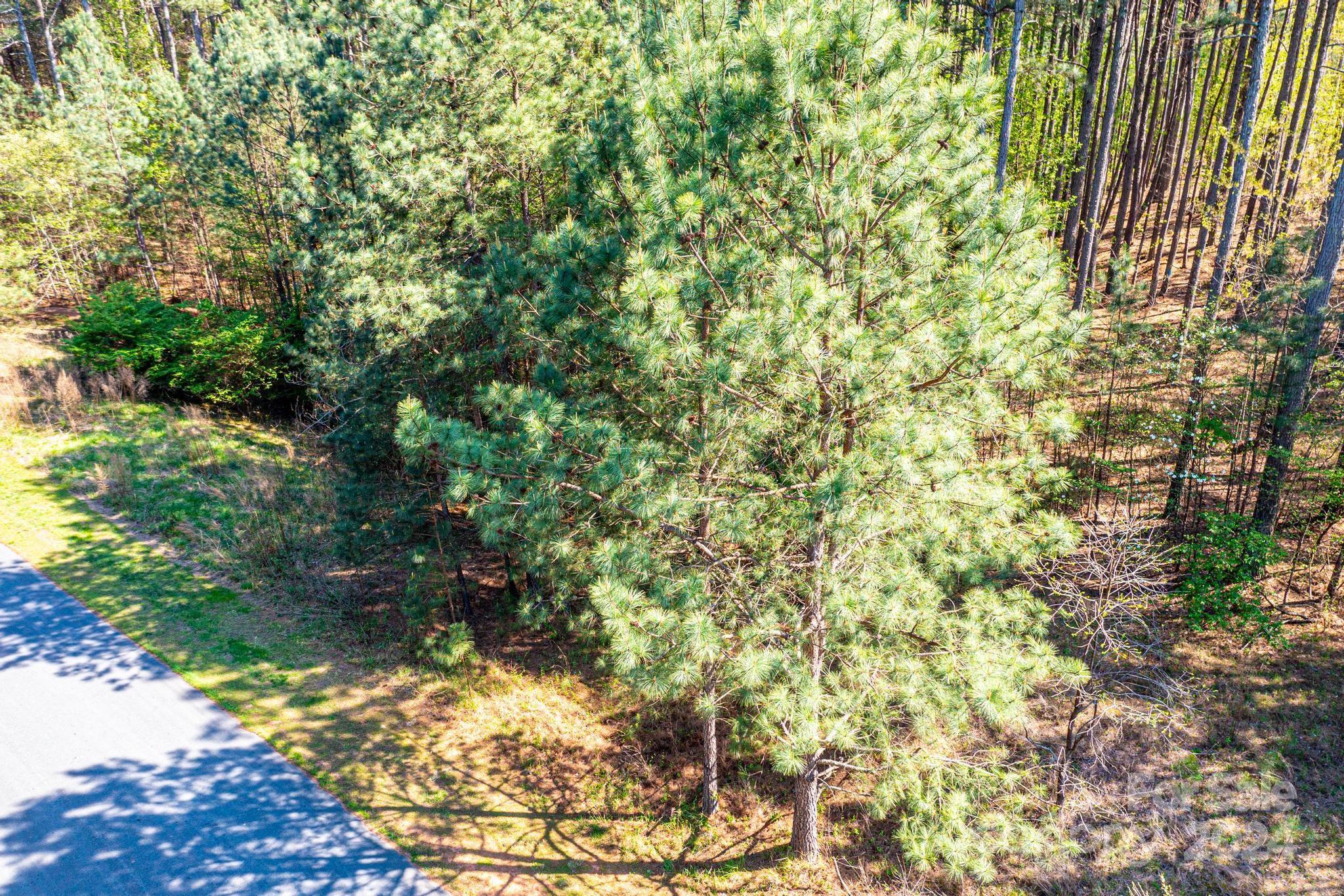 140 Greens Road Granite Falls, NC 28630 - Photo 5 of 13 Gallery Image 5