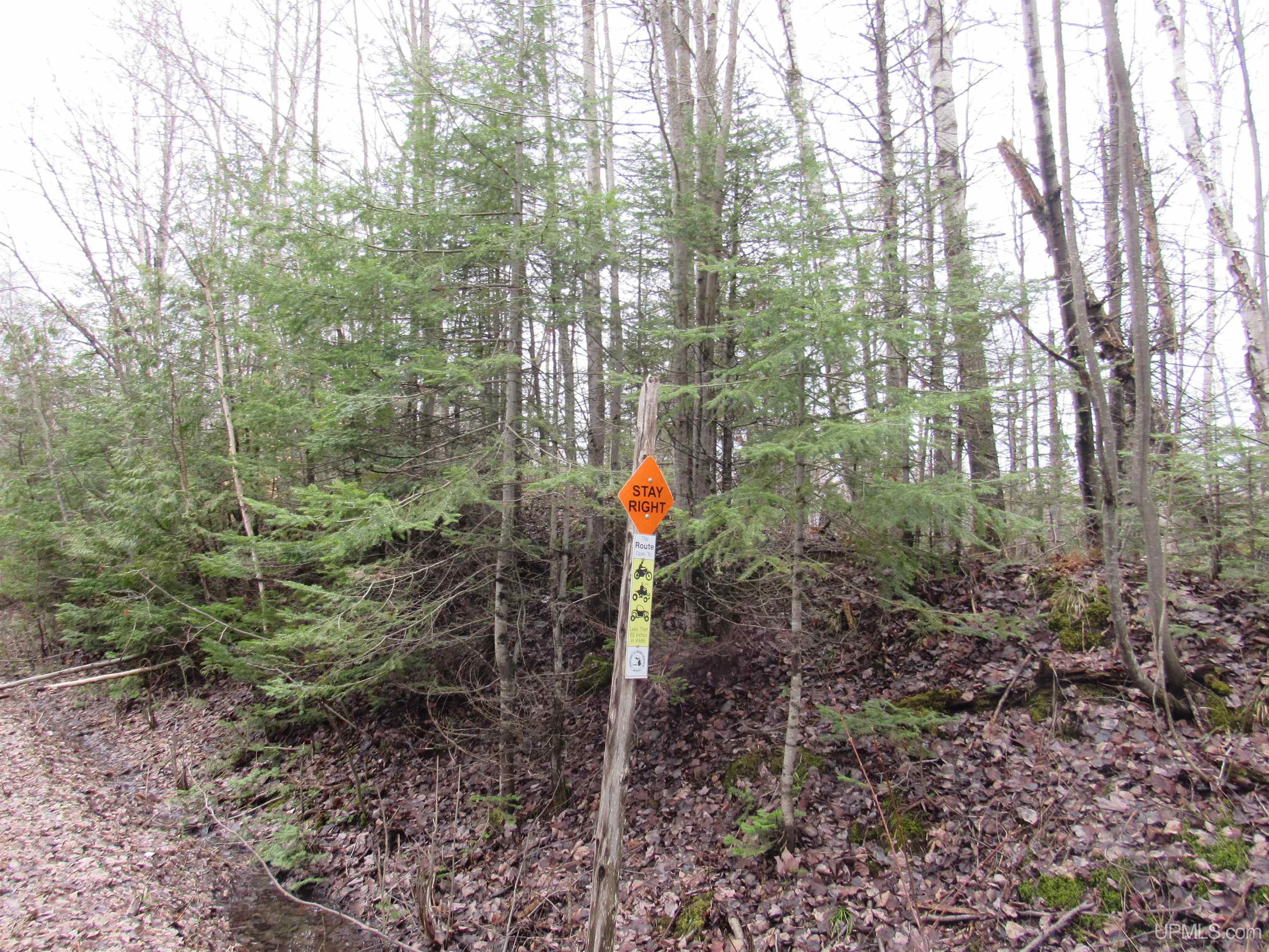 Tbd Deerton-sand Lake Road Deerton, MI 49822 - Photo 19 of 23