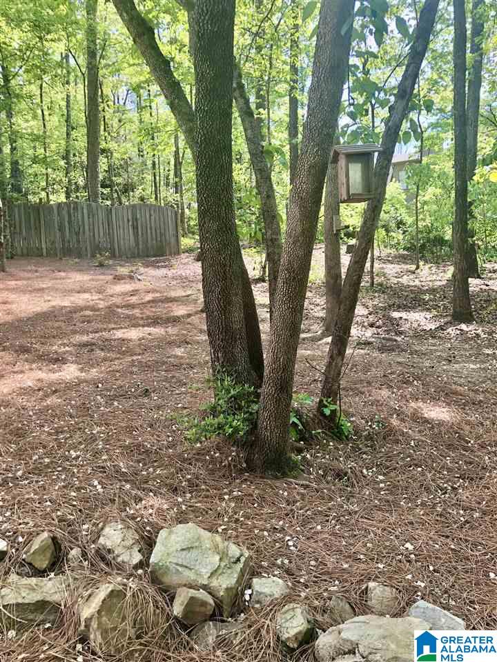 4317 Milner Road East Birmingham, AL 35242 - Photo 46 of 50