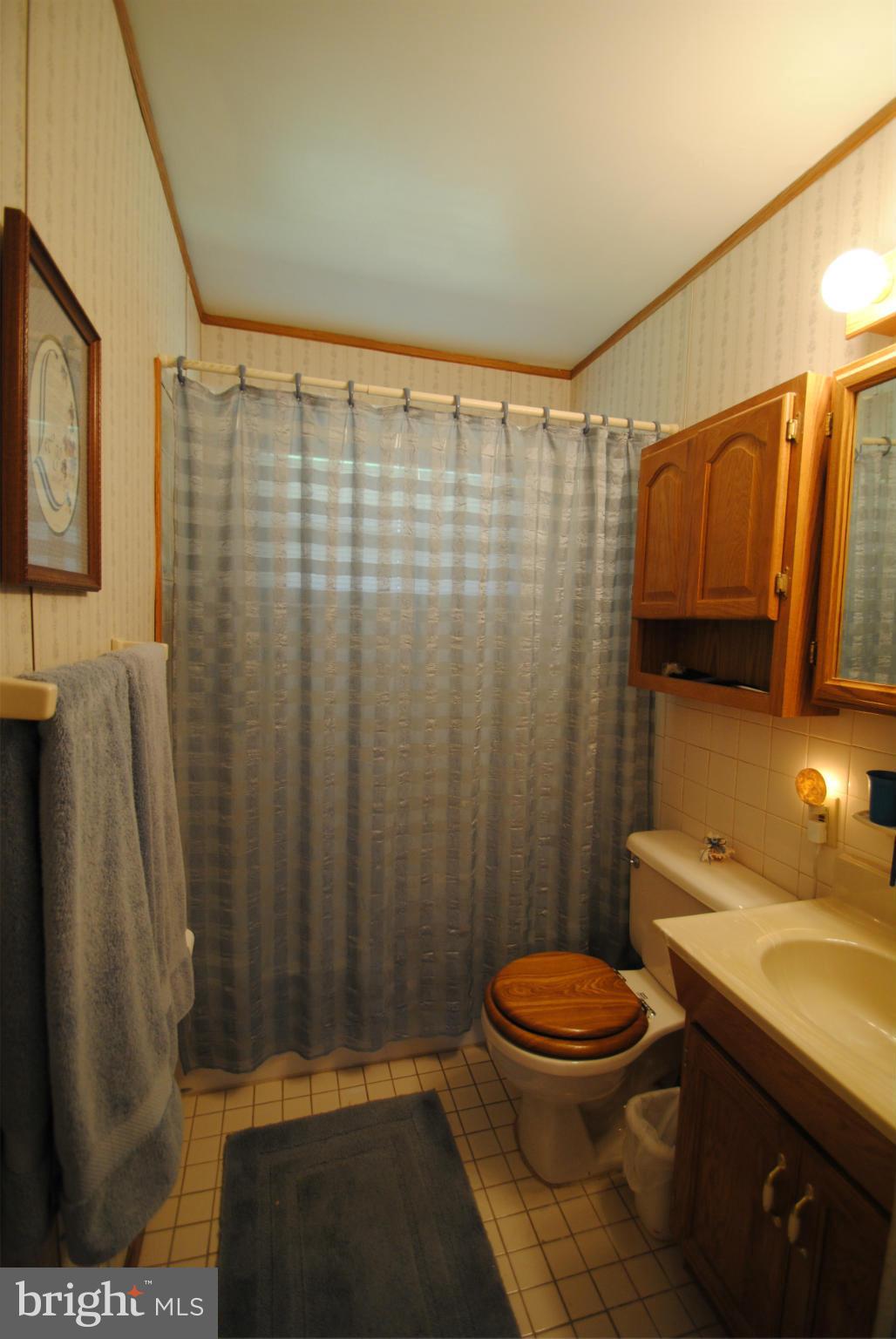 8110 Russell Road Alexandria, VA 22309 - Photo 20 of 29 Bath