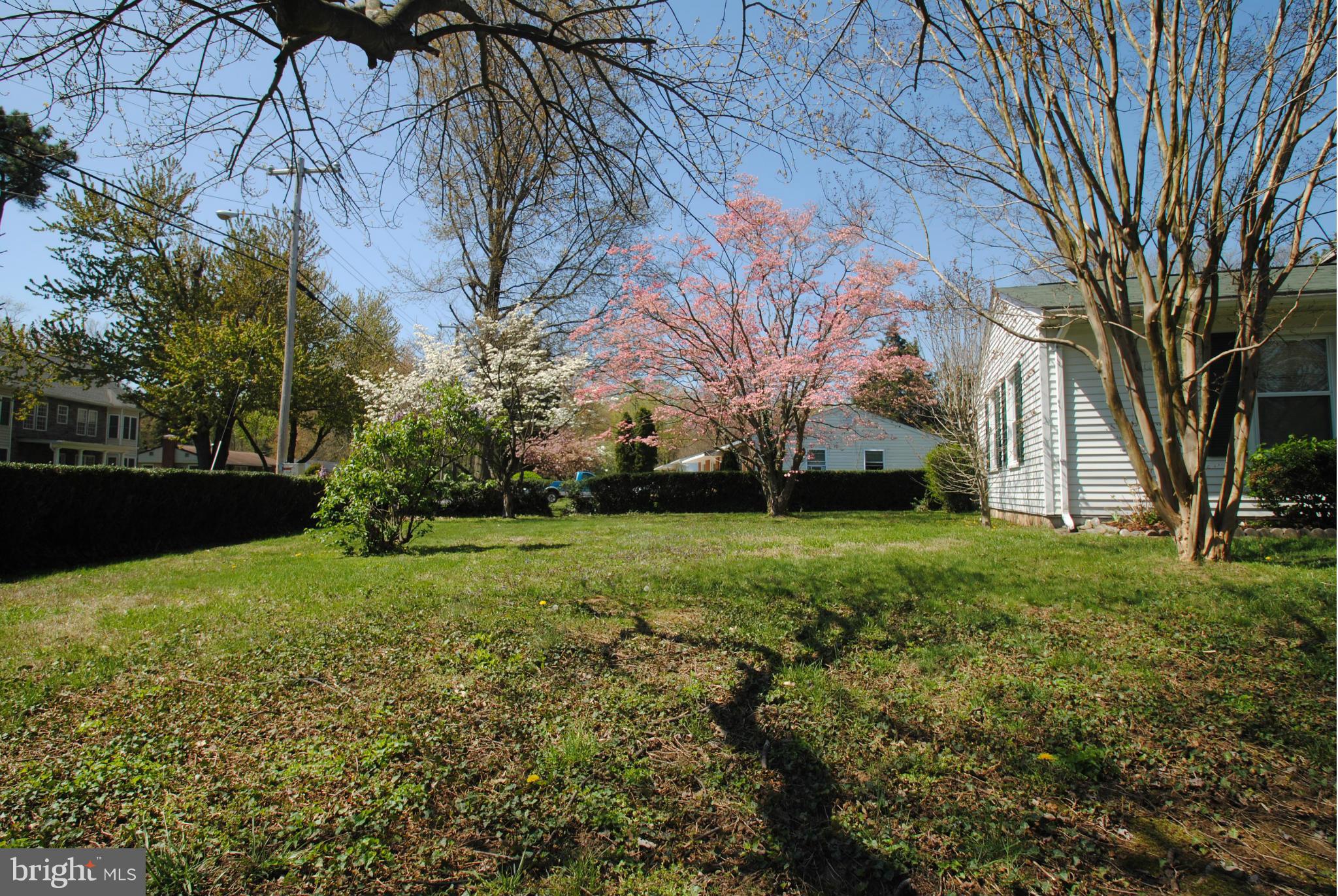 8110 Russell Road Alexandria, VA 22309 - Photo 21 of 29 Side Yard to back